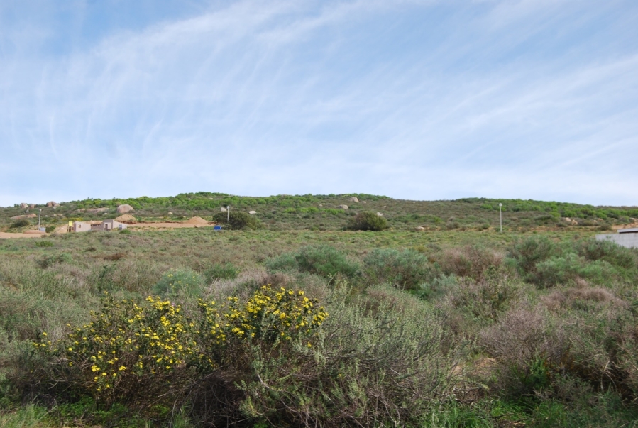 0 Bedroom Property for Sale in Steenbergs Cove Western Cape